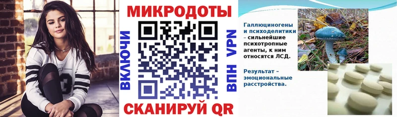 дарк нет какой сайт  Озёры  Псилоцибиновые грибы мухоморы  где купить   OMG зеркало 